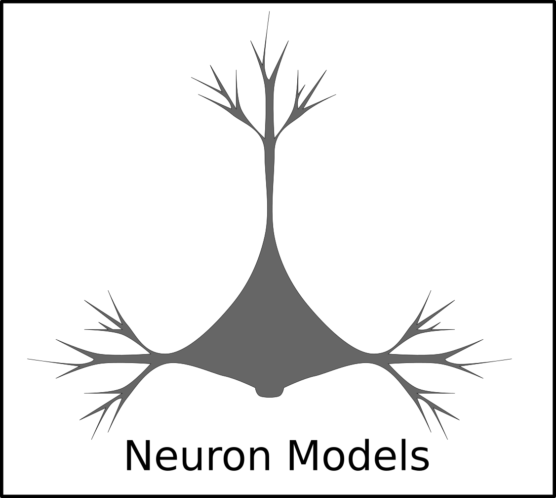 Neuron Models